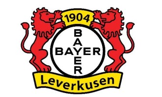 受天气影响！官方：德甲第17轮汉堡vs勒沃库森的比赛延期